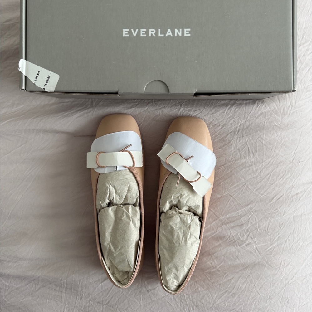 Everlane Day Ballet Flat in Pale Pink, Size 5.5